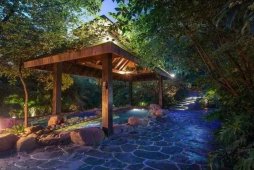 溫泉市場(chǎng)動(dòng)態(tài) 溫泉綜合體設(shè)計(jì)類型、產(chǎn)品創(chuàng)新及發(fā)展方向